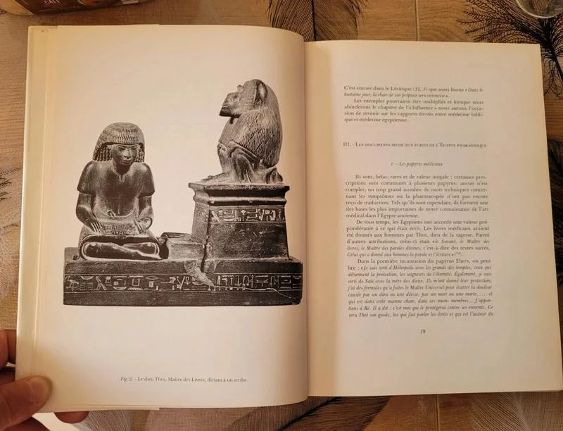 La medicina egipcia en la época de los faraones Ange-Pierre Leca – photo 2